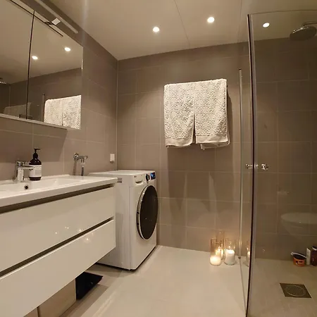 Stilren Midt Pa Lade Apartament Trondheim
